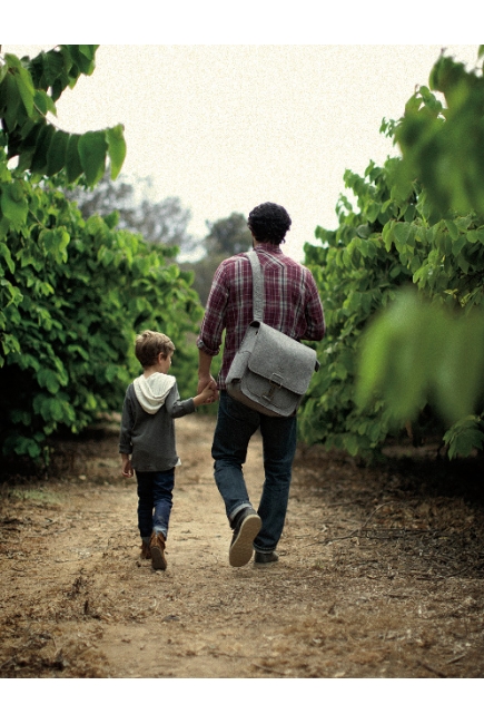 Сумка для папы Petunia Journey Pack Grey (серый)