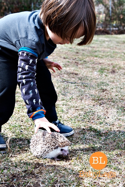 Гетры Babylegs "Electrify"