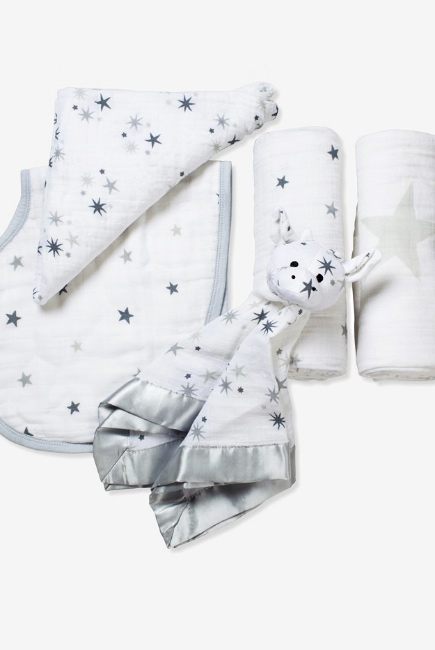 Подарочный набор для новорожденных Aden&Anais Twinkle