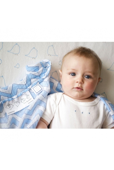 Набор пеленок SwaddleDesigns Swaddle Duo BL Chickies/Chevron