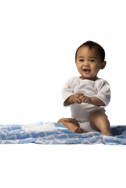 Набор пеленок SwaddleDesigns Swaddle Duo BL Chickies/Chevron