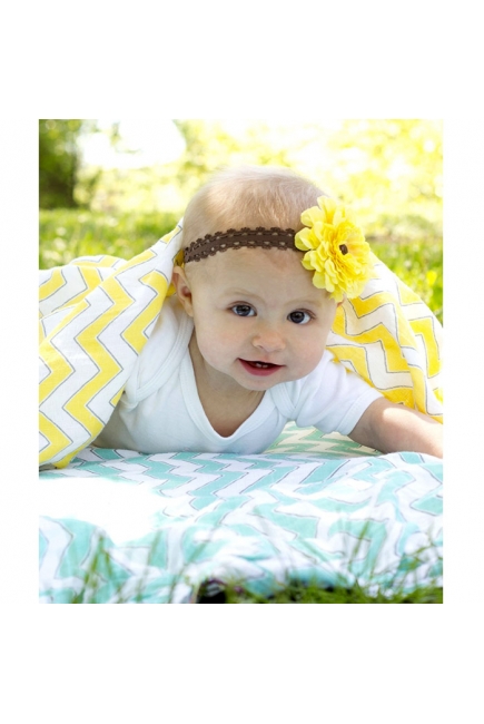 Набор пеленок SwaddleDesigns Swaddle Duo PK Chickies/Chevron