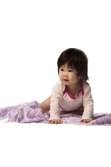 Набор пеленок SwaddleDesigns Swaddle Duo LV Classic Chevron