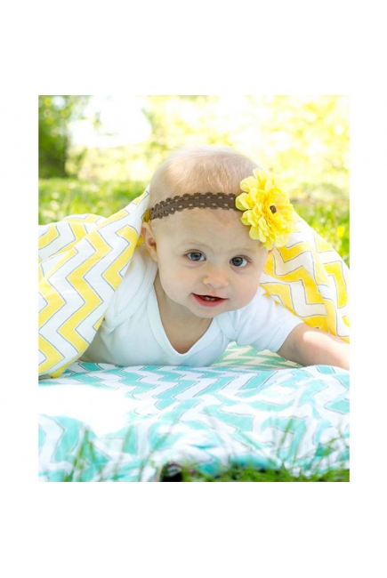 Набор пеленок SwaddleDesigns Swaddle Duo Pink Classic Chevron