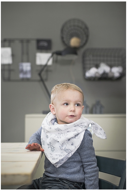 Комплект муслиновых пеленок для новорожденных Jollein, Forest friends