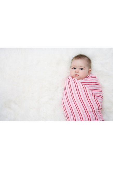 Aden&Anais набор 4 больших муслиновых пеленок, Princess Posie (принцесса)