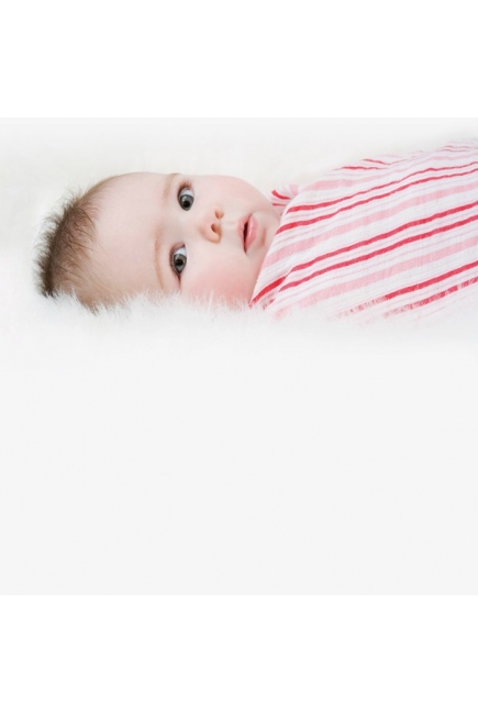 Aden&Anais набор 4 больших муслиновых пеленок, Princess Posie (принцесса)