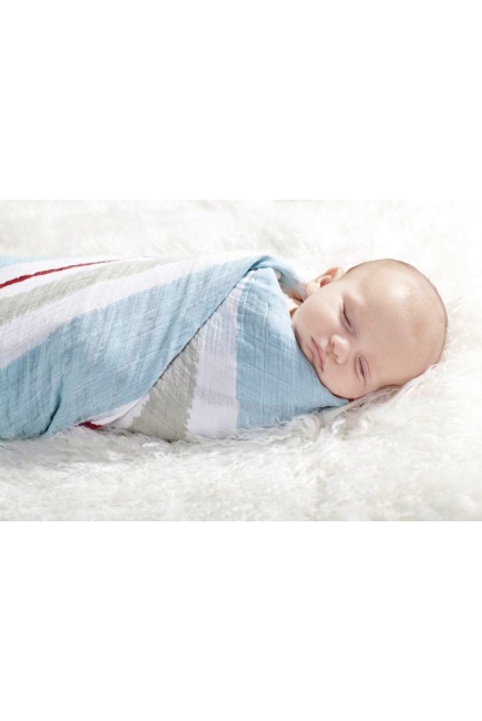 Aden&Anais набор 4 больших муслиновых пеленок, Liam the Brave (храбрый пес)