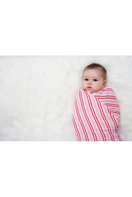 Aden&Anais набор 2 больших муслиновых пеленок, Princess Posie (принцесса)