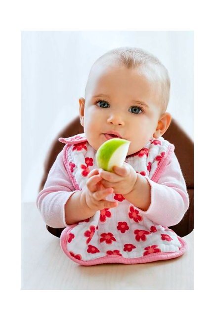 Aden&Anais набор 3 слюнявчиков, Princess (принцесса)