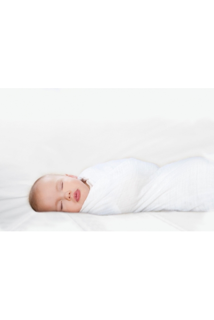 Aden&Anais набор 4 больших муслиновых пеленок, Dreamer (мечтатель)