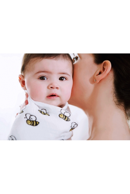Aden&Anais набор 4 больших муслиновых пеленок, Mod about Baby (ребенок)
