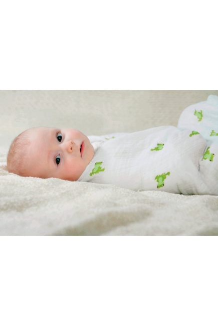 Aden&Anais набор 4 больших муслиновых пеленок, Mod about Baby (ребенок)