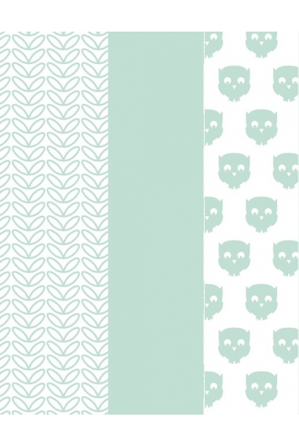 Муслиновые пеленки для новорожденных большие Jollein, Owl mint