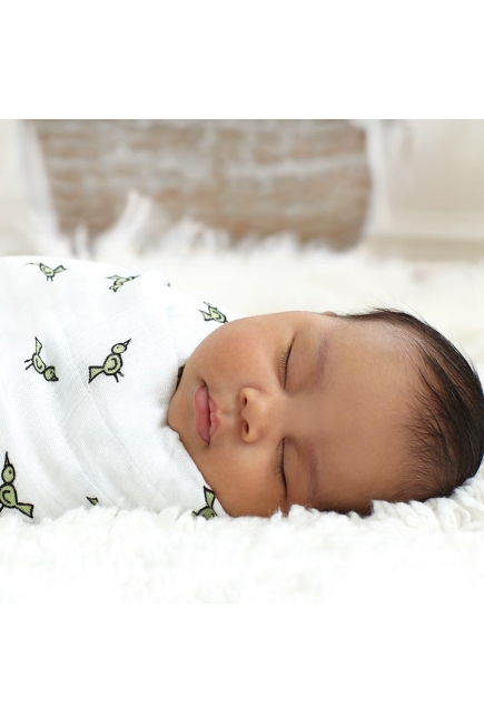 Муслиновые пеленки для новорожденных Aden&Anais, большие, набор 4, Jungle Jam