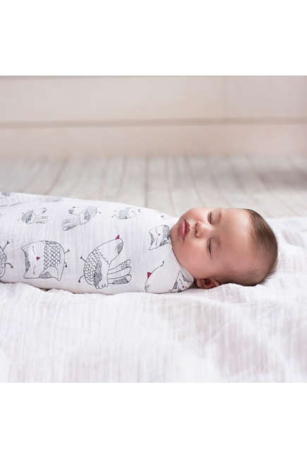 Муслиновые пеленки для новорожденных Aden&Anais большие, набор 4, Twinkle Star