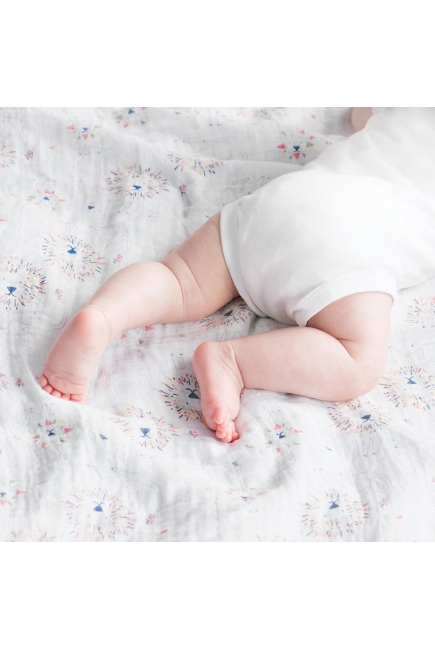 Муслиновые пеленки для новорожденных Aden&Anais большие, набор 4, Leader of the Pack