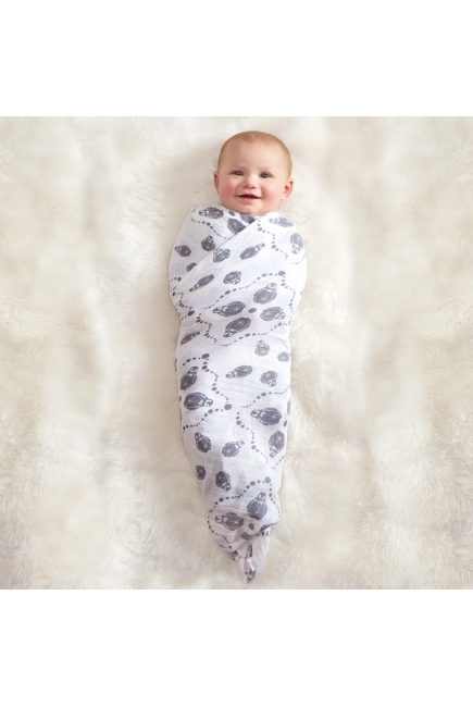 Муслиновые пеленки для новорожденных Aden&Anais большие, набор 4, Kindred